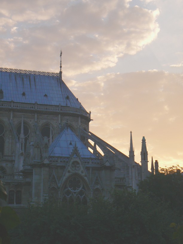 Notre Dame de Paris: Notre Dame de Paris 025
